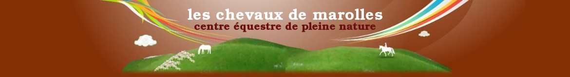 les chevaux de marolles